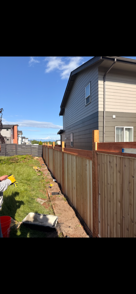 Exterior renovation and new fencing